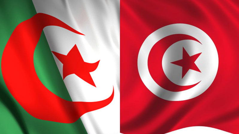 قائمة الطلبة الجزائريين المقبولين للاستفادة من مقاعد بيداغوجية لمزاولة دراستهم العليا بالجمهورية التونسية